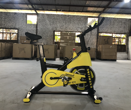 Ảnh sản phẩm Xe đạp tập thể dục tại nhà cao cấp Q3, Xe đạp tập GYM tại chỗ